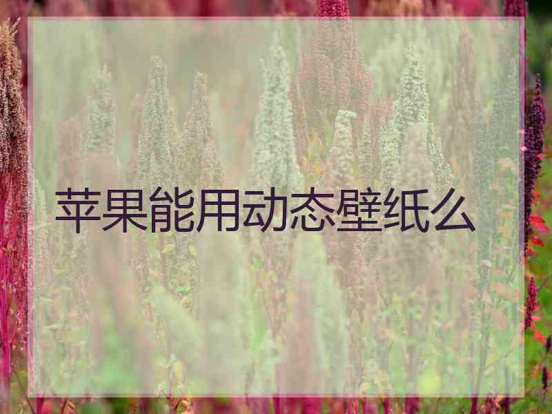 苹果能用动态壁纸么 苹果能用动态壁纸么