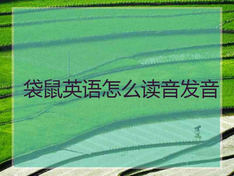 袋鼠英语怎么读音发音 袋鼠英语怎么读音发音