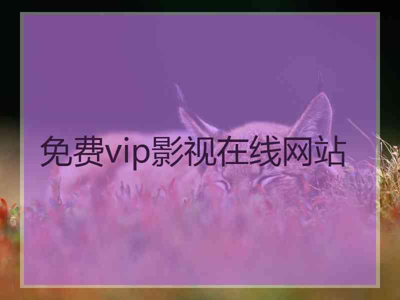 免费vip影视在线网站 免费vip影视在线网站