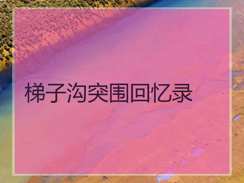 梯子沟突围回忆录 梯子沟突围回忆录