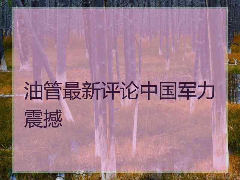 油管最新评论中国军力震撼 油管最新评论中国军力震撼