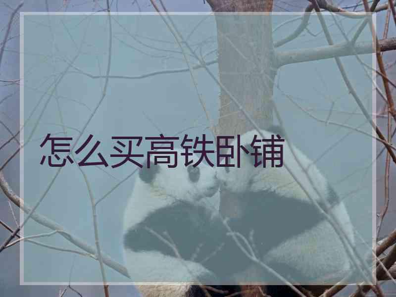 怎么买高铁卧铺 怎么买高铁卧铺