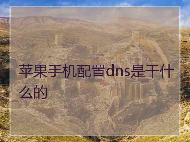 苹果手机配置dns是干什么的 苹果手机配置dns是干什么的