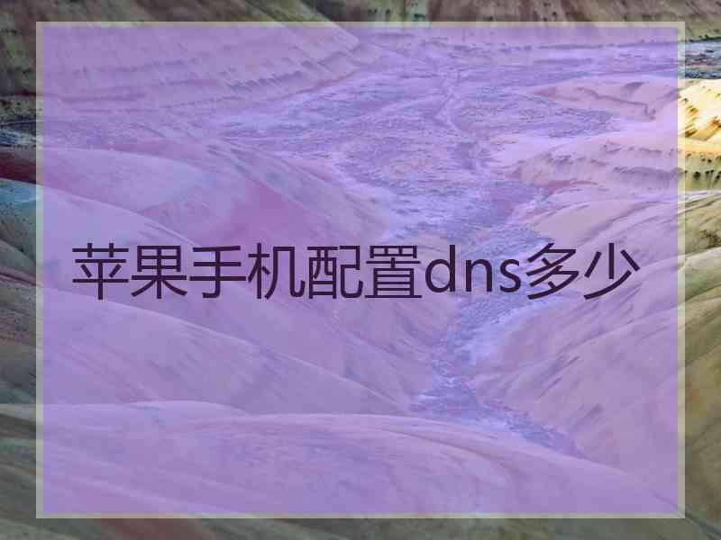苹果手机配置dns多少 苹果手机配置dns多少