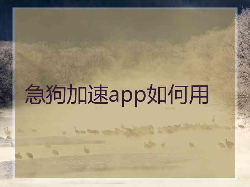 急狗加速app如何用 急狗加速app如何用