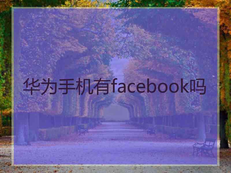 华为手机有facebook吗
