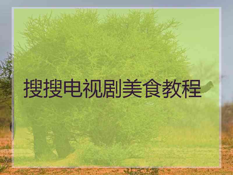 搜搜电视剧美食教程 搜搜电视剧美食教程