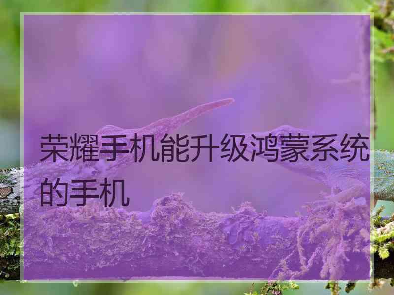 荣耀手机能升级鸿蒙系统的手机 荣耀手机能升级鸿蒙系统的手机