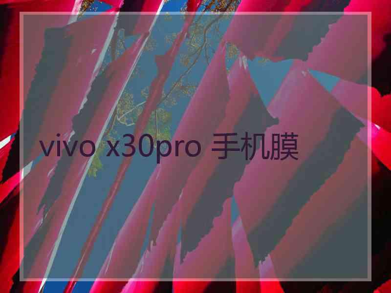 vivo x30pro 手机膜 vivo x30pro 手机膜