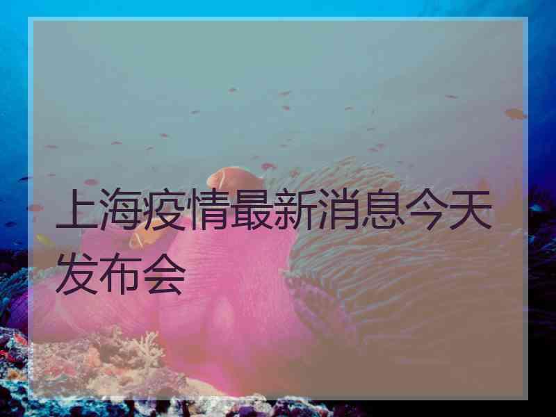 上海疫情最新消息今天发布会 上海疫情最新消息今天发布会