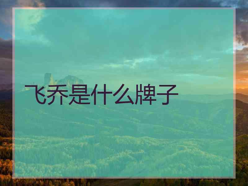 飞乔是什么牌子 飞乔是什么牌子