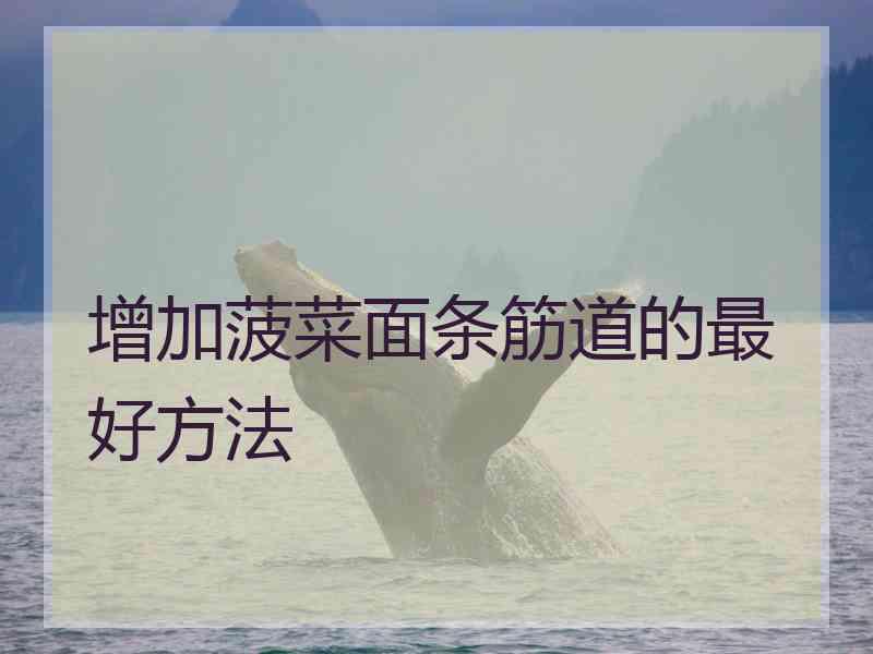 增加菠菜面条筋道的最好方法 增加菠菜面条筋道的最好方法