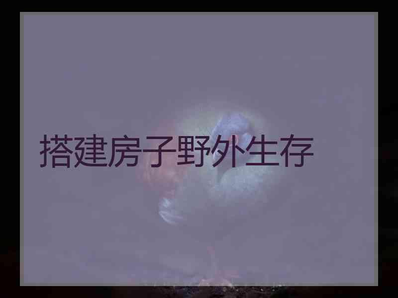 搭建房子野外生存 搭建房子野外生存
