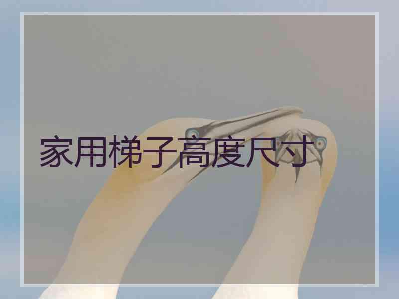 家用梯子高度尺寸 家用梯子高度尺寸