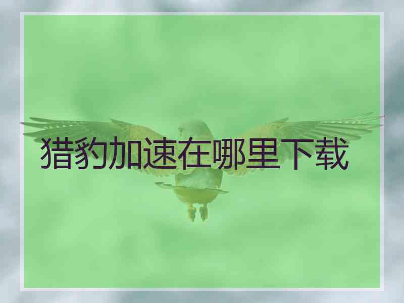 猎豹加速在哪里下载 猎豹加速在哪里下载