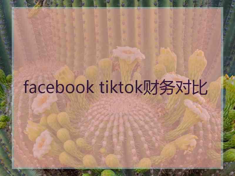 facebook tiktok财务对比 facebook tiktok财务对比