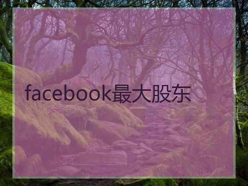 facebook最大股东 facebook最大股东