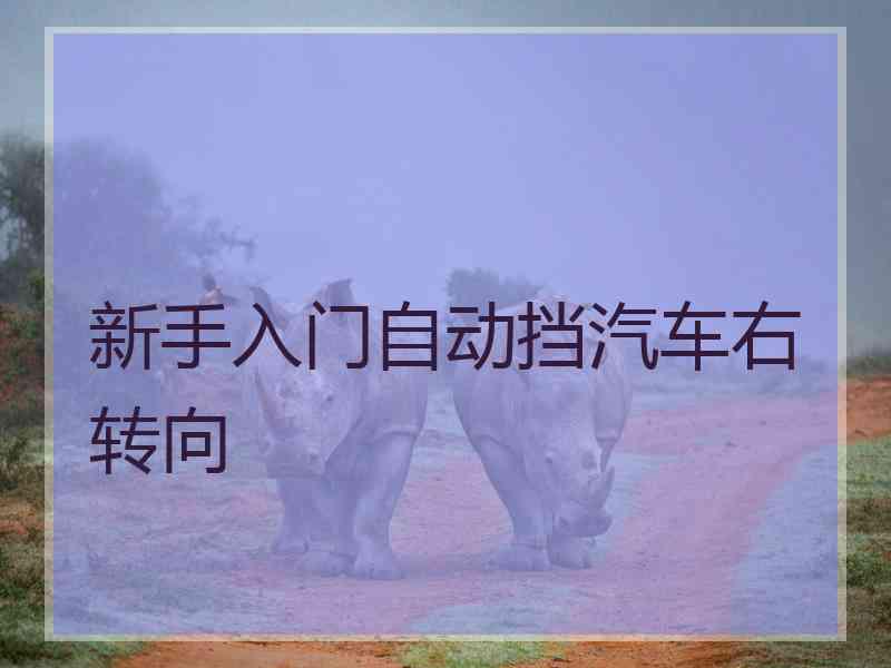 新手入门自动挡汽车右转向 新手入门自动挡汽车右转向