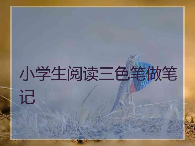 小学生阅读三色笔做笔记 小学生阅读三色笔做笔记