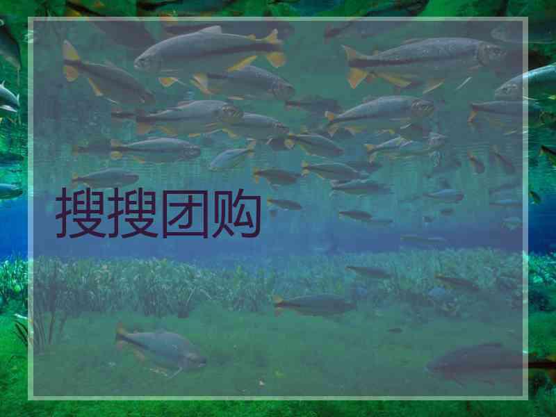 搜搜团购 搜搜团购