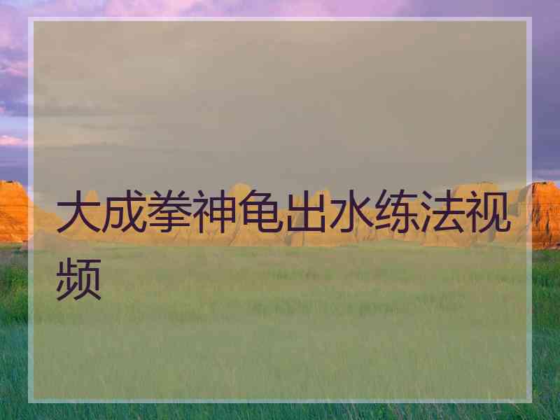 大成拳神龟出水练法视频 大成拳神龟出水练法视频