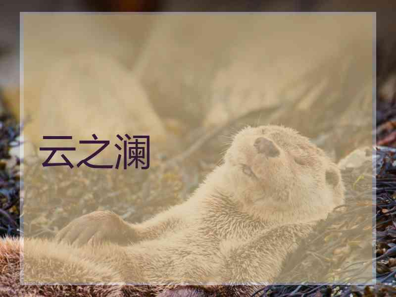 云之澜 云之澜