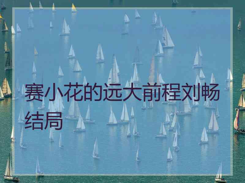 赛小花的远大前程刘畅结局 赛小花的远大前程刘畅结局