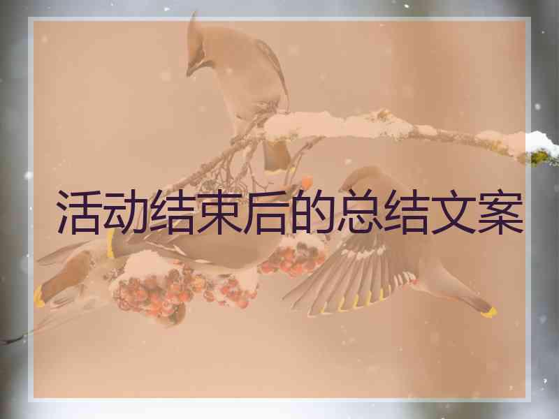 活动结束后的总结文案 活动结束后的总结文案
