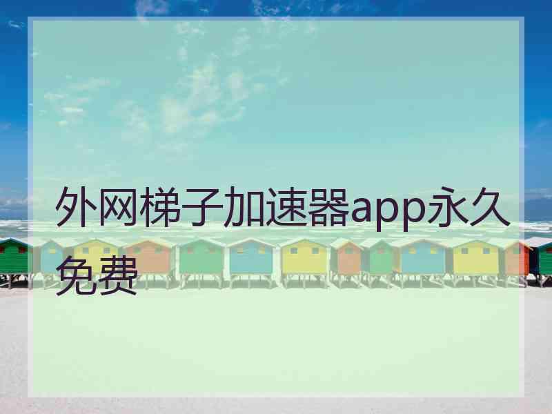 外网梯子加速器app永久免费 外网梯子加速器app永久免费