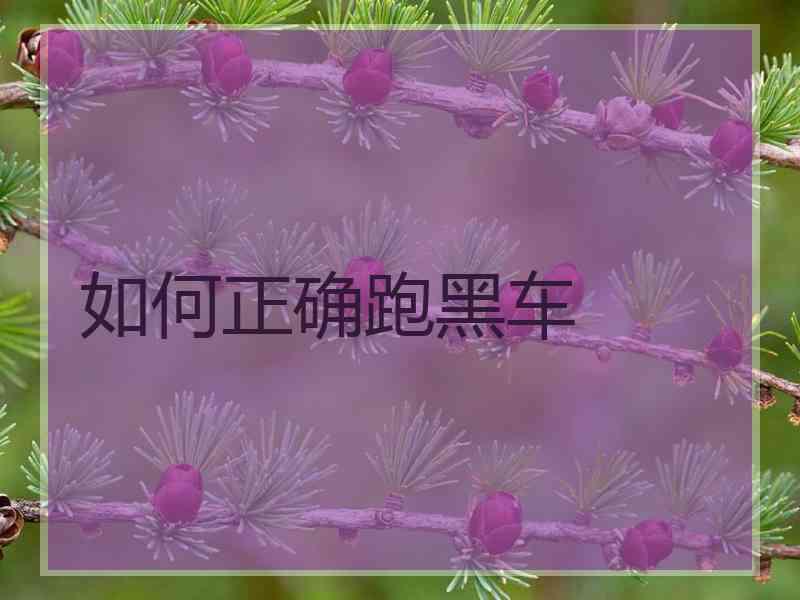 如何正确跑黑车 如何正确跑黑车