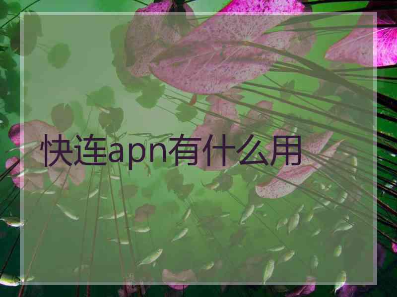 快连apn有什么用 快连apn有什么用