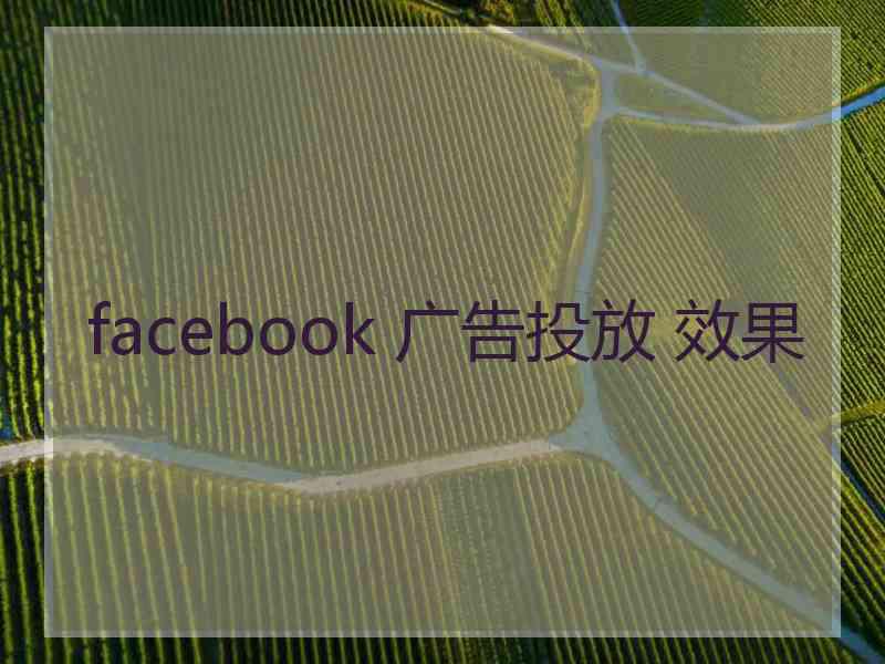facebook 广告投放 效果 facebook 广告投放 效果