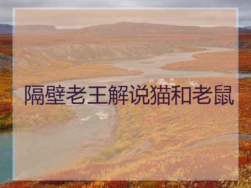 隔壁老王解说猫和老鼠 隔壁老王解说猫和老鼠
