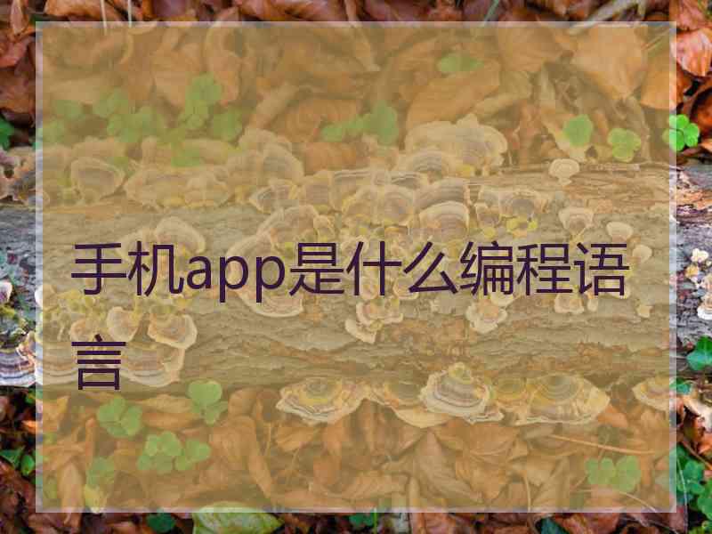 手机app是什么编程语言 手机app是什么编程语言