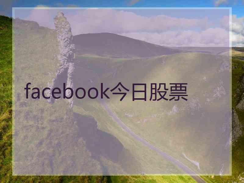 facebook今日股票 facebook今日股票