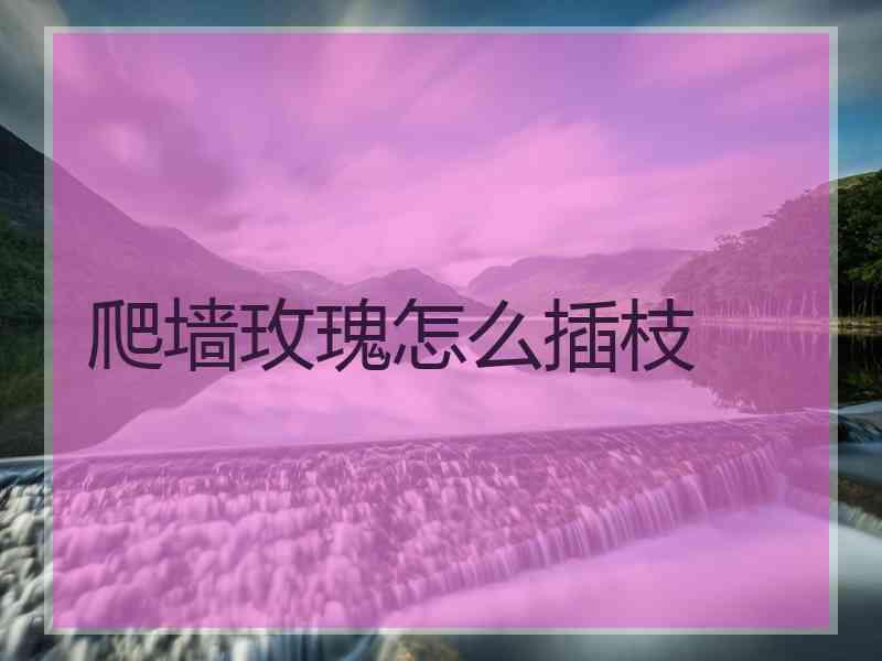 爬墙玫瑰怎么插枝 爬墙玫瑰怎么插枝