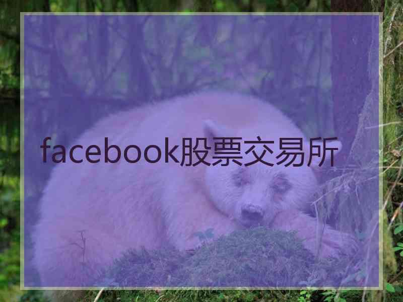 facebook股票交易所 facebook股票交易所
