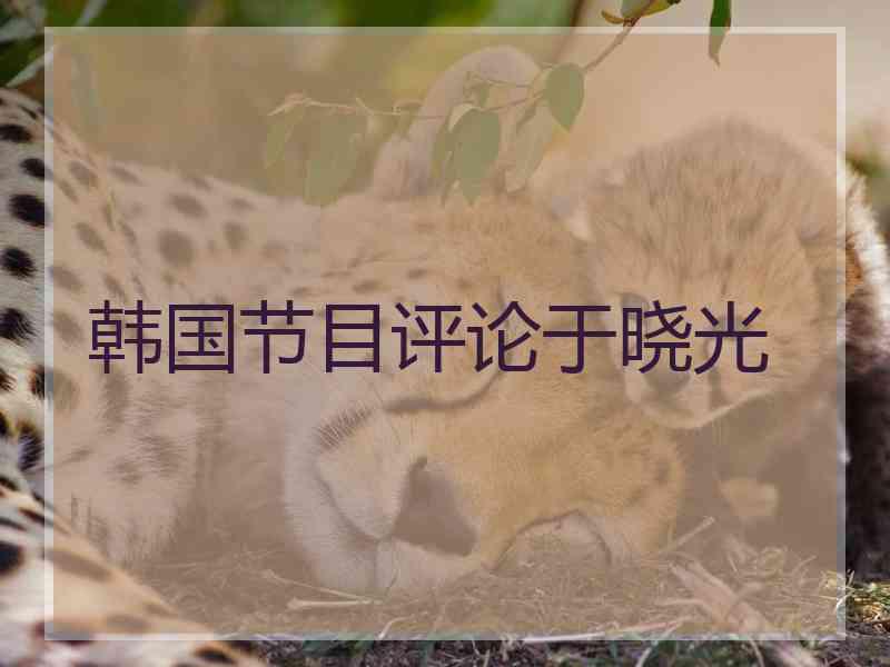 韩国节目评论于晓光 韩国节目评论于晓光