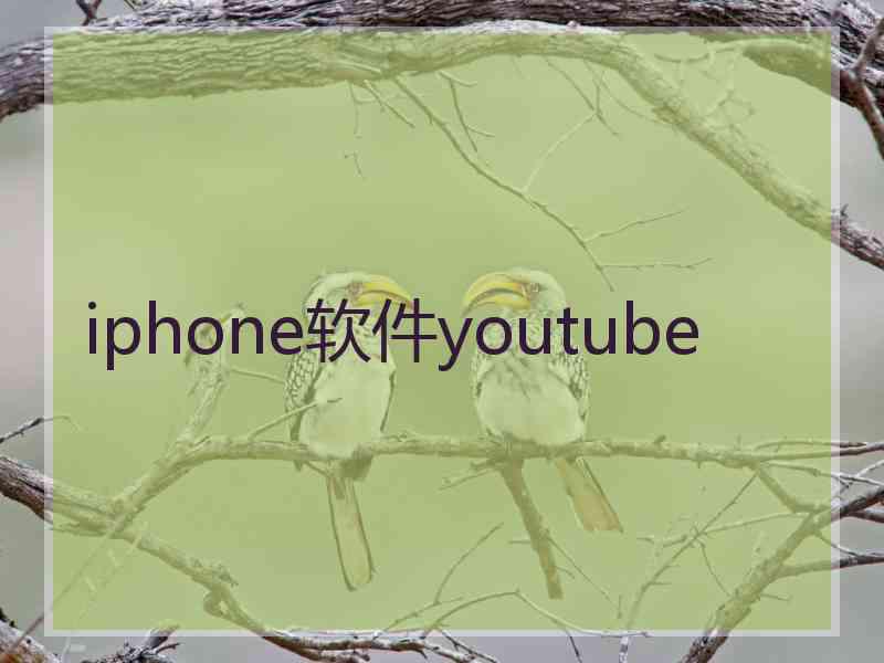 iphone软件youtube