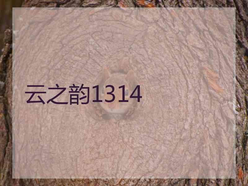 云之韵1314 云之韵1314