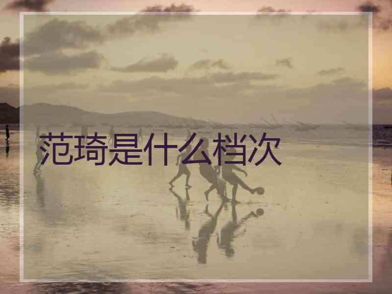 范琦是什么档次 范琦是什么档次