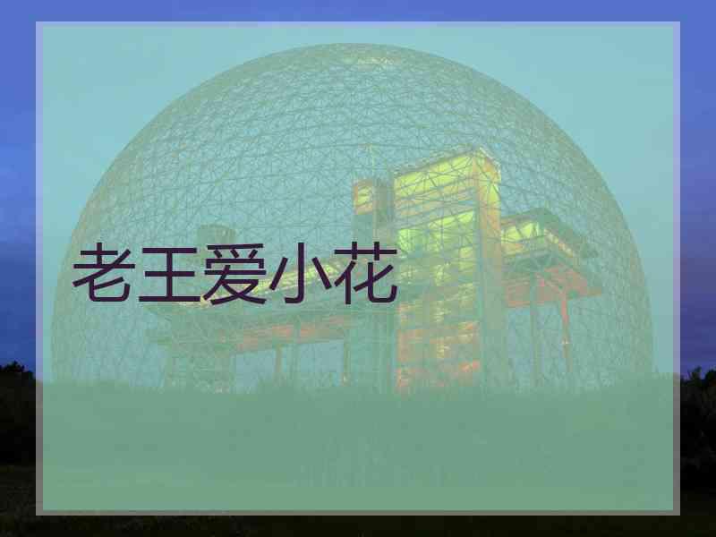 老王爱小花 老王爱小花