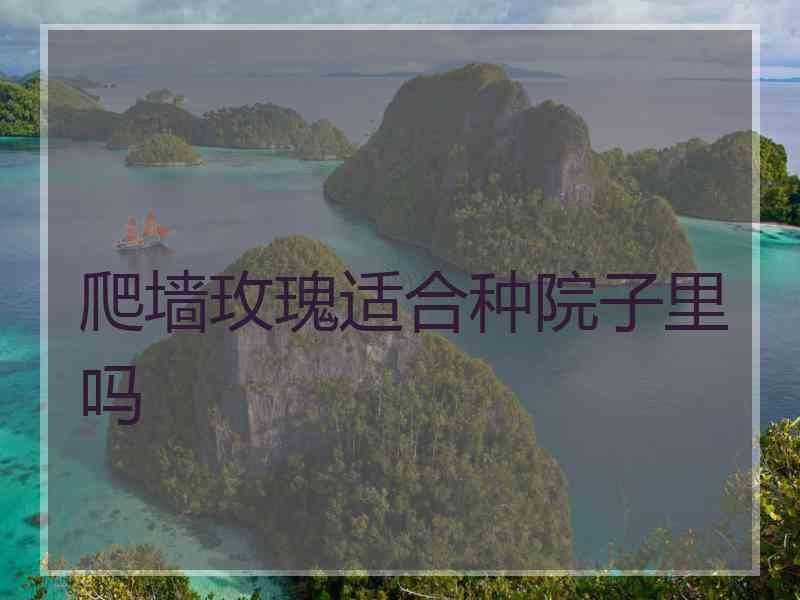 爬墙玫瑰适合种院子里吗 爬墙玫瑰适合种院子里吗