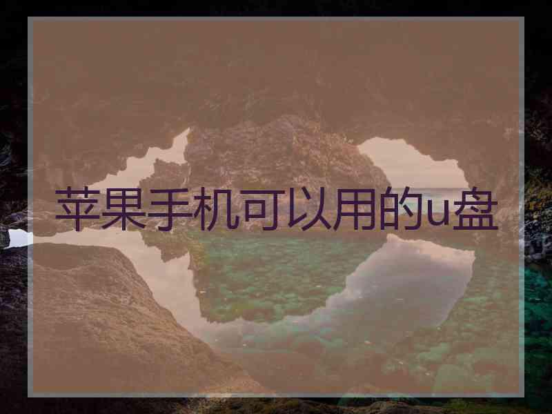 苹果手机可以用的u盘 苹果手机可以用的u盘