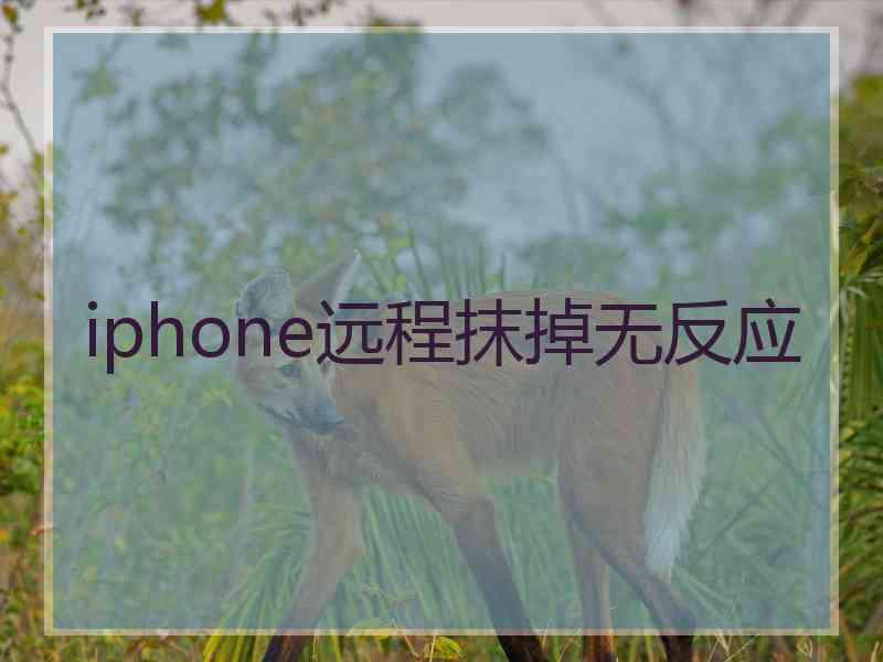 iphone远程抹掉无反应 iphone远程抹掉无反应
