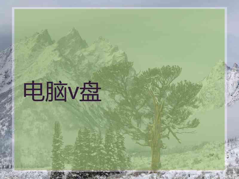 电脑v盘 电脑v盘