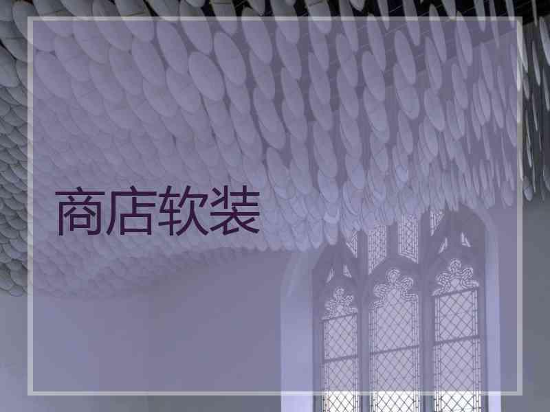 商店软装 商店软装