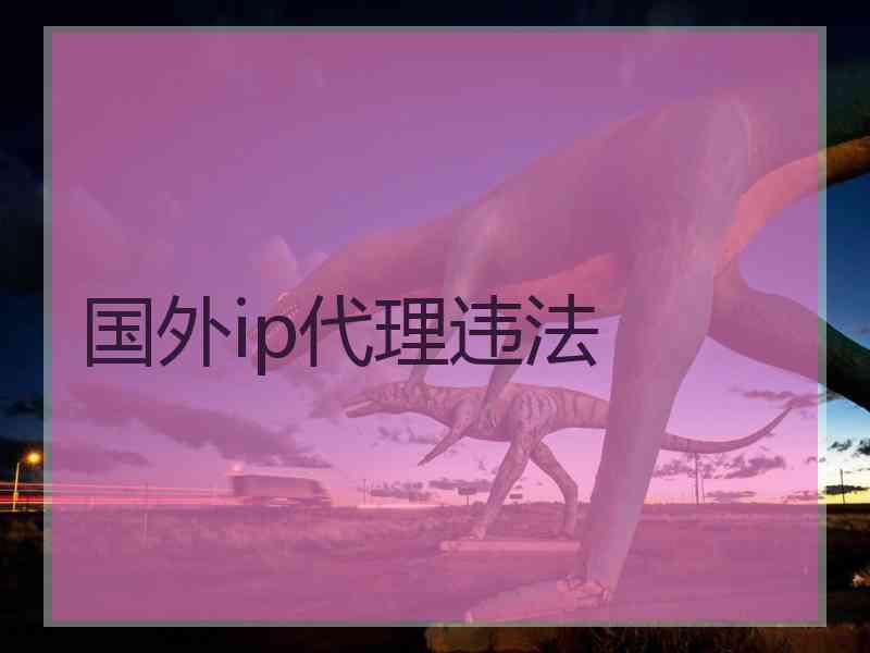 国外ip代理违法 国外ip代理违法
