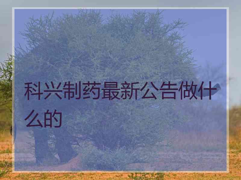 科兴制药最新公告做什么的 科兴制药最新公告做什么的
