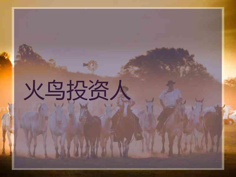 火鸟投资人 火鸟投资人